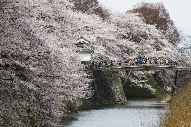 Yamagata / Yamadera 6hr Private Trip With Licensed Guide - Transportation Information