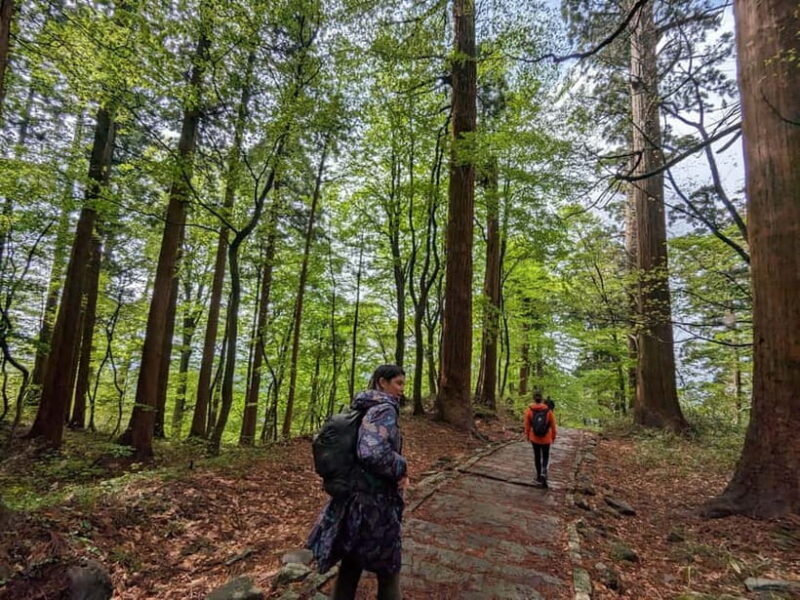 Yamagata / Yamadera Private Trip with Licensed Guide - Good To Know