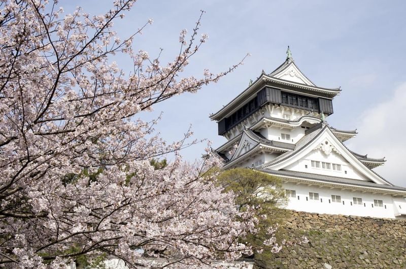 Yamaguchi chartered car day tour (customized itinerary) | Tsunoshima Bridge, Motonosumi Shrine, Senjojiki, Akiyoshidai / Akiyoshido Cave, Beppu Benten Pond, Karato Market, Kanmon Bridge, etc. - Akiyoshidai and Akiyoshido: choose the surface or the underground