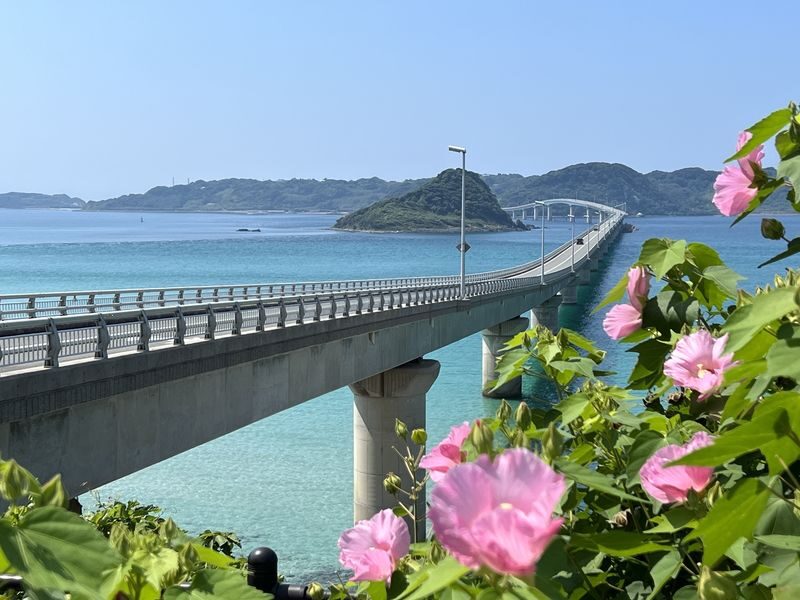 Yamaguchi Nagato One-Day Tour | Motonosumi Shrine, Tsunoshima Bridge, Nagato Yumoto Onsen | Departing from Fukuoka Hakata - Crossing the Kanmon Strait by road
