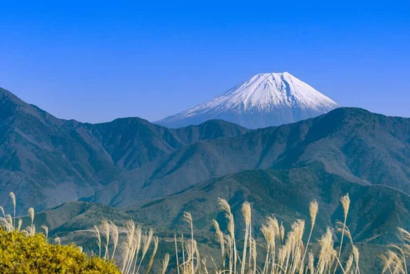 Yamanashi: Minobusan, Japans Sacred Mountain of Faith - What to Expect During the Tour