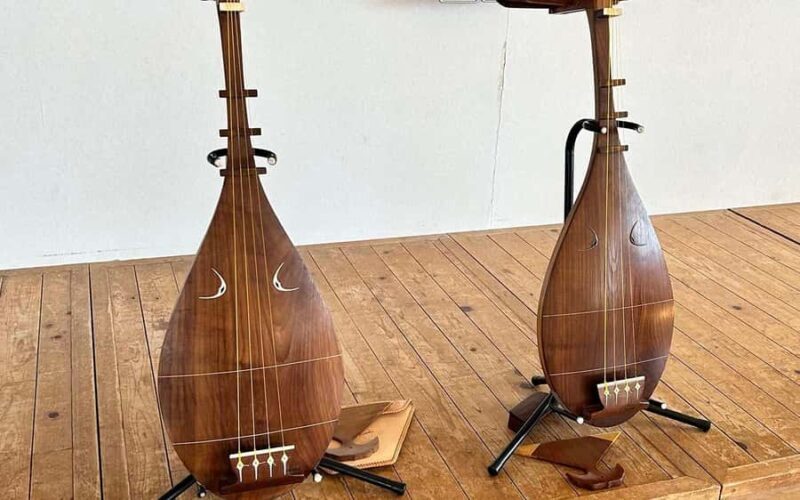 Yamato: Satsuma Biwa Music Playing Experience - Introduction