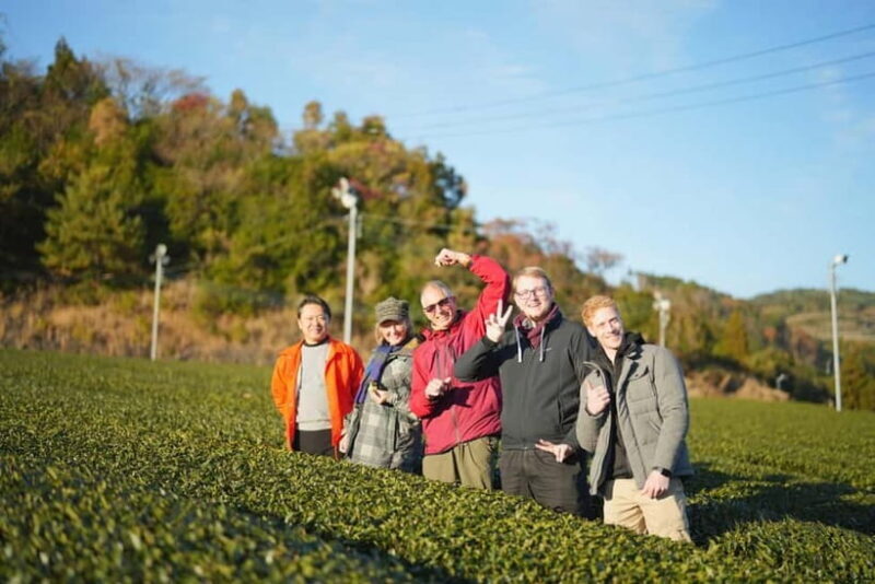 Yame & Kurume Tea Fields & Craft Tour From Farm to Cup - Who Will Love This Tour?