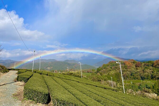 Yame Tea and Japanese Sake Tour Fukuoka Private Tour - Practical Aspects of the Tour