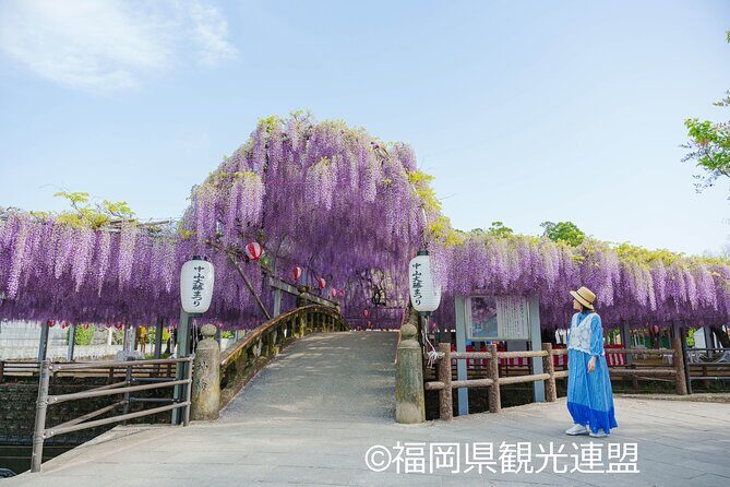Yanagawa Great Wisteria and Traditional Canal Boat Experience - Good To Know