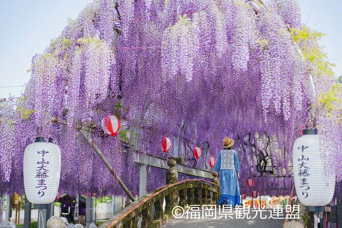 Yanagawa Great Wisteria and Traditional Canal Boat Experience - Final Thoughts