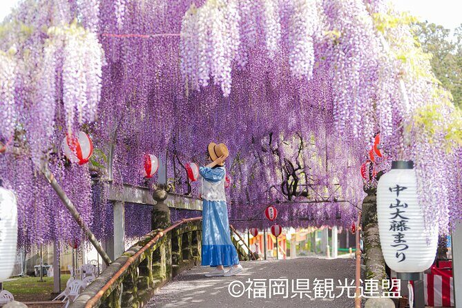 Yanagawa Great Wisteria and Traditional Canal Boat Experience - Good To Know