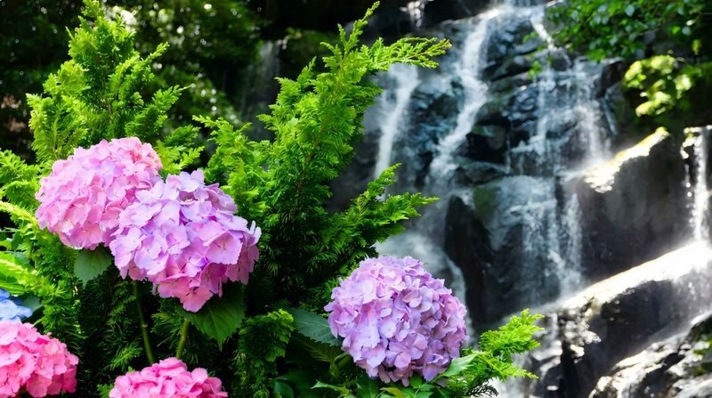 Yanagawa & Itoshima Day Tour - What the coach and guide add