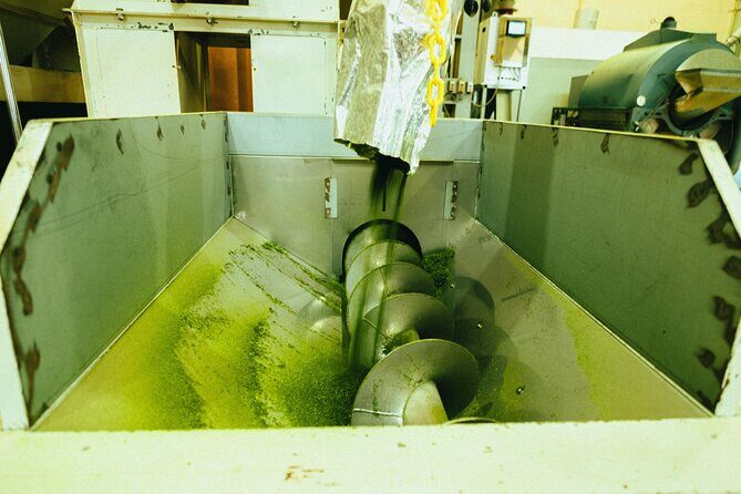 Yanagawa River Cruise and Yame Tea Fukuoka Private Tour - A Closer Look at the Itinerary