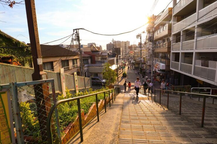 Yanaka District: Historical Walking Tour in Tokyo's Old Town - Tour Logistics and Information