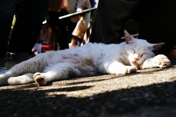 Yanaka Guided Walking Tour With Topography Expert - Nippori Station Meeting Point