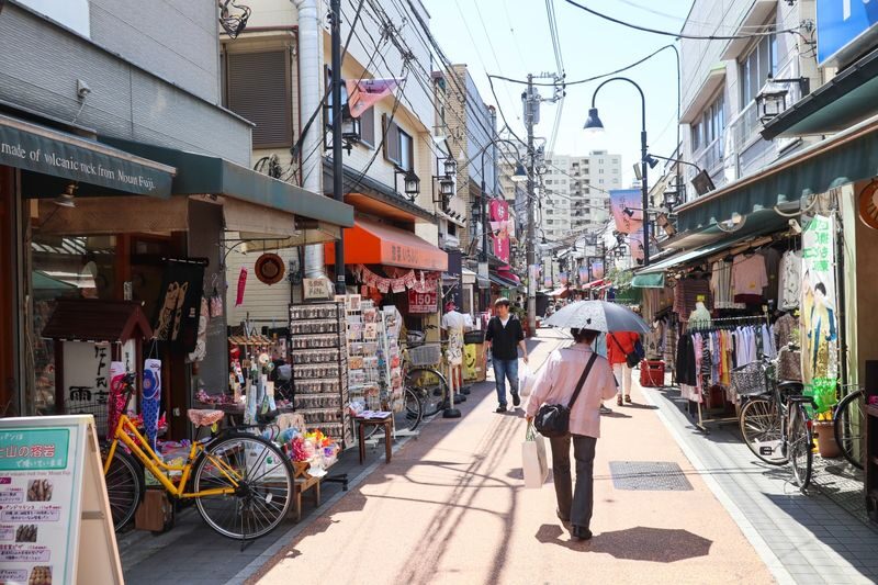 Yanaka Historical City Exploration Walking Tour in Tokyos Old Town - Paint a lucky cat in an old folk house