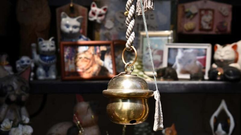 Yanaka & Ueno: Walking Tour of Tokyo Tradition & Culture - Good To Know