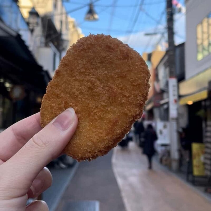 Yanaka's Hidden Flavors: Tokyo's Historic Gourmet District - Exploring Tokyo’s Nostalgic Charm