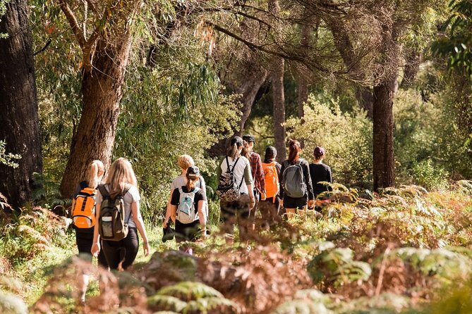 Yanchep Ultimate Adventure Guided Hike Tour - Overview and Location