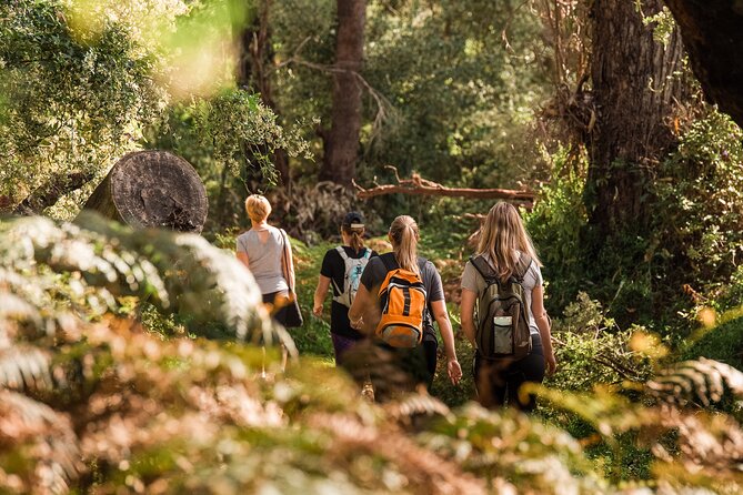 Yanchep Ultimate Adventure Guided Hike Tour - Tips for a Successful Hike