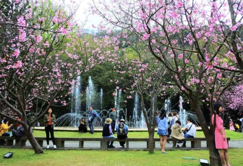 Yangmingshan & Beitou Geothermal Wonders Day Tour - The Sum Up
