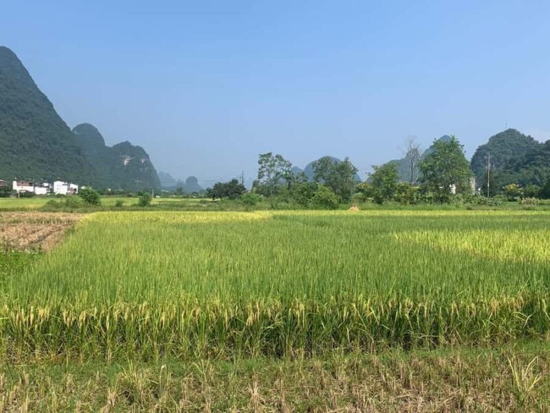 Yangshuo: Electric Scooter Tour with Painting Class - Value and Pricing