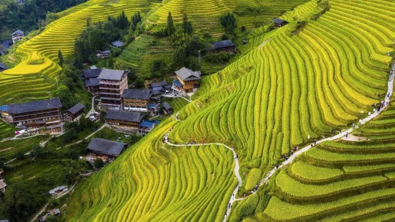Yangshuo: Longji Terraces & Long Hair Village Private Tour - Good To Know