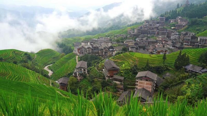 Yangshuo: Longji Terraces & Long Hair Village Private Tour - Transportation & Logistics