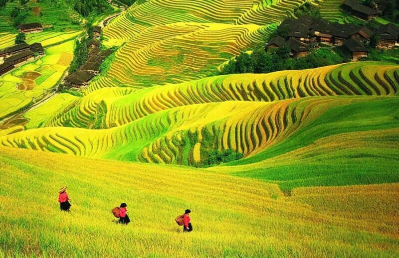 Yangshuo: Longji Terraces & Long Hair Village Private Tour - Final Thoughts