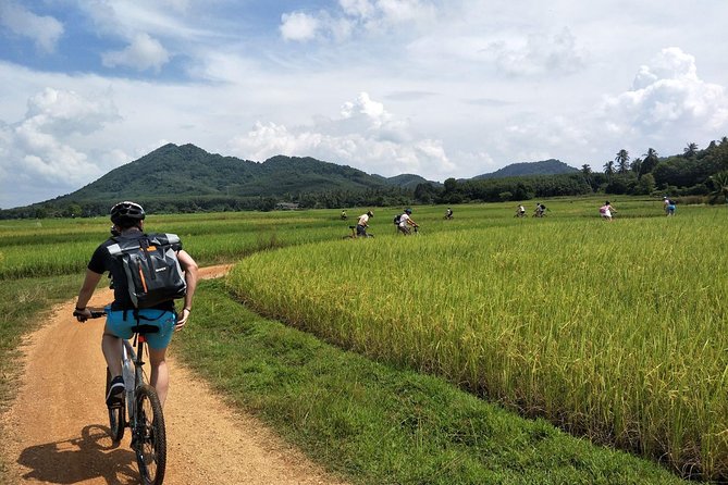 Yao Island Cycling and Beach - Common Questions