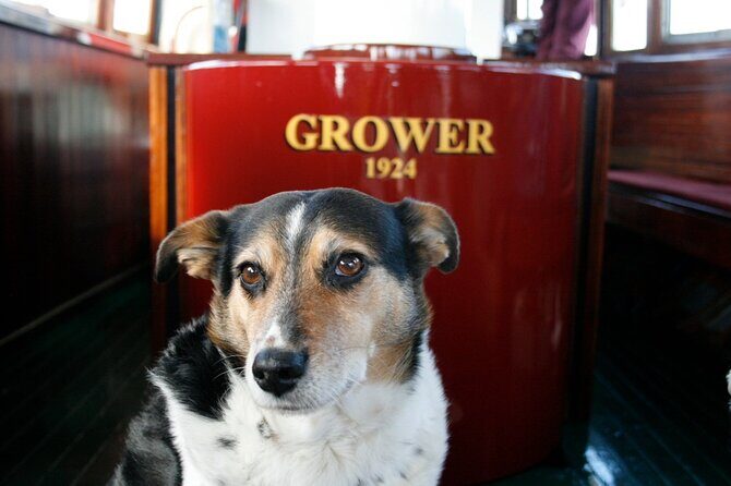 Yarra River 1 Hour Scenic Cruise with Commentary - A Deep Dive into the Experience