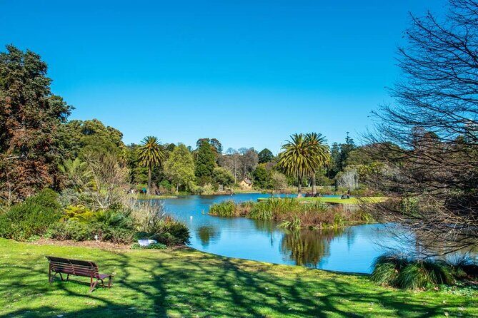 Yarra River Nature Trail Walk - Starting at Federation Square