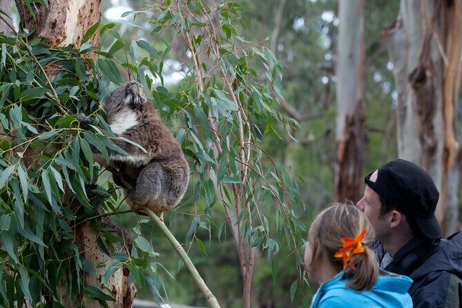 Yarra River Nature Trail Walk - Concluding at the National Gallery of Victoria