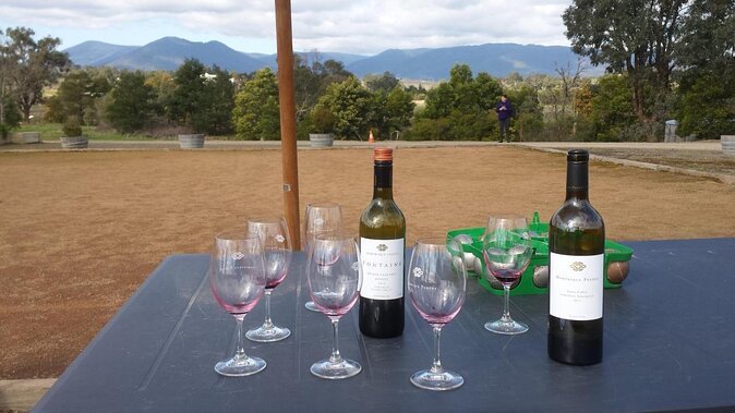 Yarra Valley 2-6 Guests Premium Food and Wine Inc Lunch at Dominique Portet - Inclusions and Experiences
