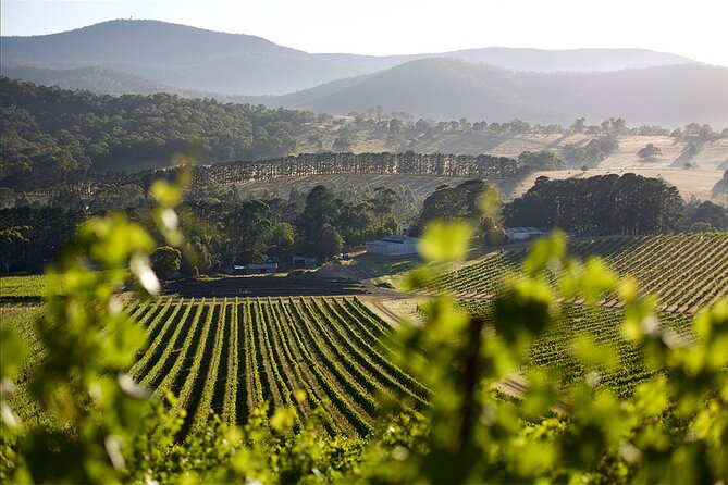 Yarra Valley 2-6 Guests With Lunch and Gin Tasting at Four Pillars - Sightseeing Opportunities in the Yarra Valley
