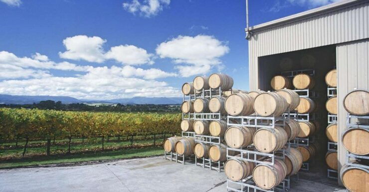 Yarra Valley and Dandneong Ranges: Scenic Bus Tour and Lunch - Experience Highlights