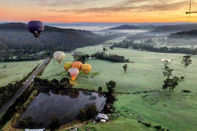 Yarra Valley Balloon Flight + Breakfast & Melbourne Pickup - Return to Melbourne