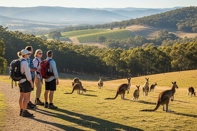 Yarra Valley by night! Private wine, whisky and dinner tour - Good To Know