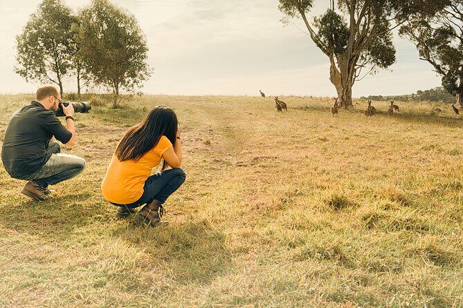 Yarra Valley by night! Private wine, whisky and dinner tour - The Sum Up