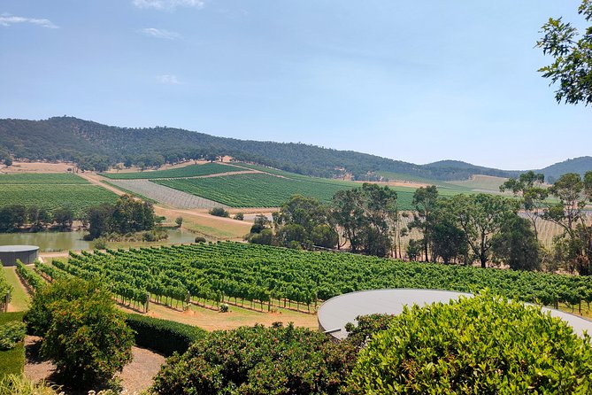 Yarra Valley Cellar Door and Gin Day - The Sum Up