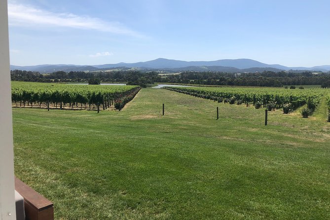 Yarra Valley, Dandenong Ranges Inc. Lunch With Wine,Plus Morning Tea,Chocolate - Inclusions