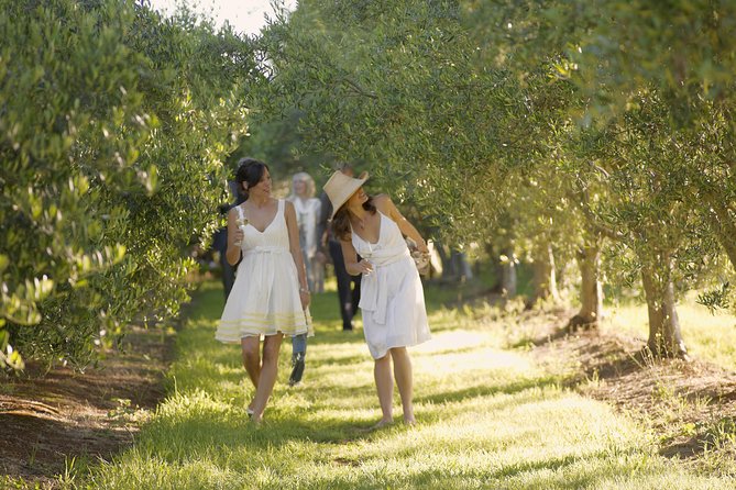 Yarra Valley Day Trip With Local Wine Tastings From Melbourne - Positive Experiences and Feedback From Previous Customers