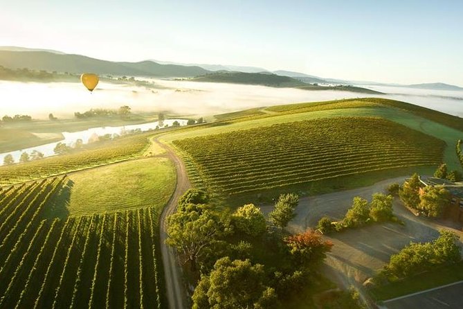 Yarra Valley Day Trip With Local Wine Tastings From Melbourne - Visiting a Vineyard in the Hills