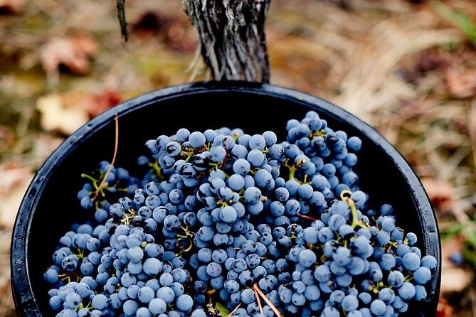 Yarra Valley, Food and Wine Private Tour - Itinerary Overview