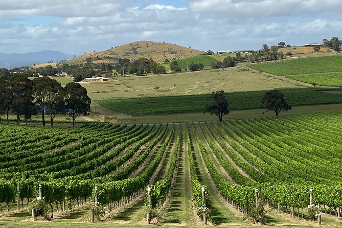 Yarra Valley, Food and Wine Private Tour - Common Questions