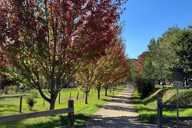 Yarra Valley Foodie Tour, Devonshire Tea, Cheese and Chocolate - Final Thoughts: Is It Worth It?