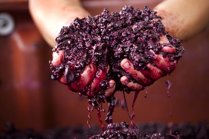 Yarra Valley Local Produce and Wine Tasting Tour From Melbourne - Pricing and Booking Information