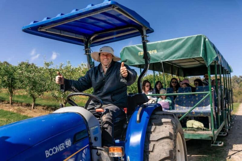 Yarra Valley: Orchard Tractor Tour with Fruit Tasting - Practical Details & Value