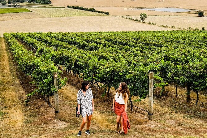 Yarra Valley Premium Boutique Wine Tasting Tour From Melbourne - Common Questions