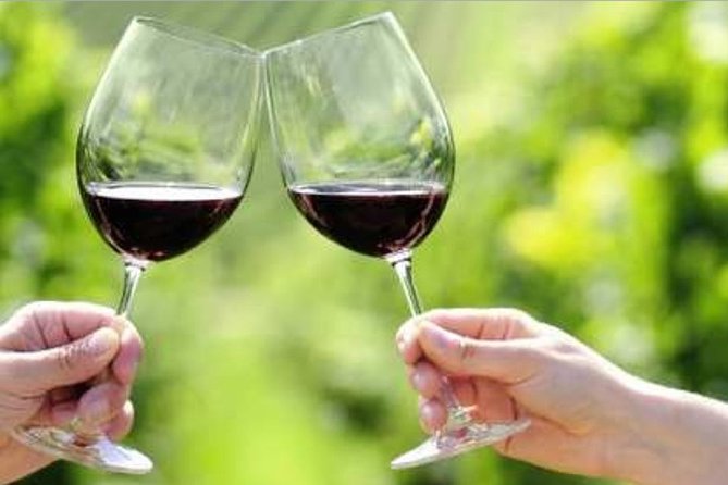 Yarra Valley Premium Tour Inc Lunch and Cheese and Wine Pairing at De Bortoli - Sightseeing in the Yarra Valley