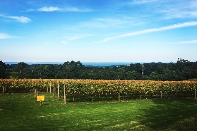 Yarra Valley Private Car Winery Tour And Chocolate.1-7 Passengers One Car Price - Cancellation Policy