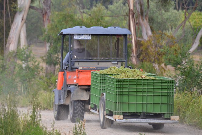 Yarra Valley Private Car Winery Tour And Chocolate.1-7 Passengers One Car Price - Itinerary Highlights
