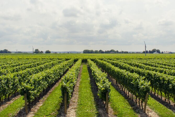 Yarra Valley Private Winery Tour With Japanese Guide - Private Tour With a Knowledgeable Japanese Guide