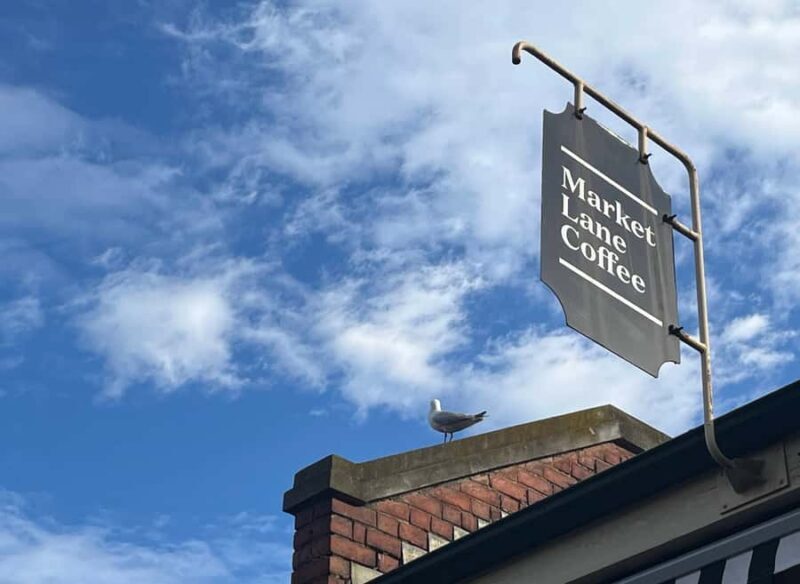 Yarra Valley | Redwoods, Wildlife, Wine, Chocolate - The Experience’s Strengths and Considerations